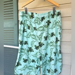 Weswick & Moore Teal Blue Mens Swim Trunks Beach Shorts Bathing Suit